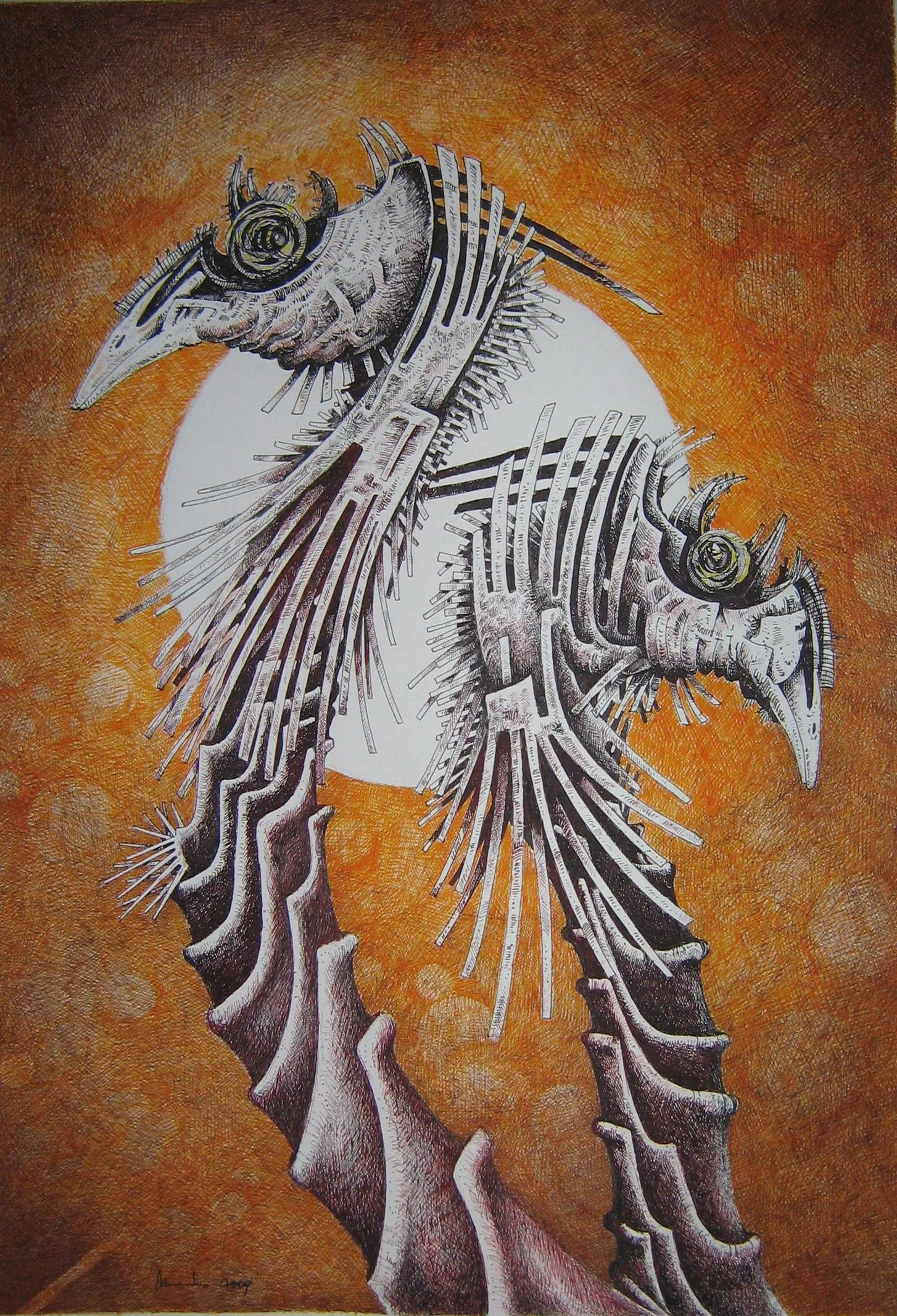 Archaeopteryx 