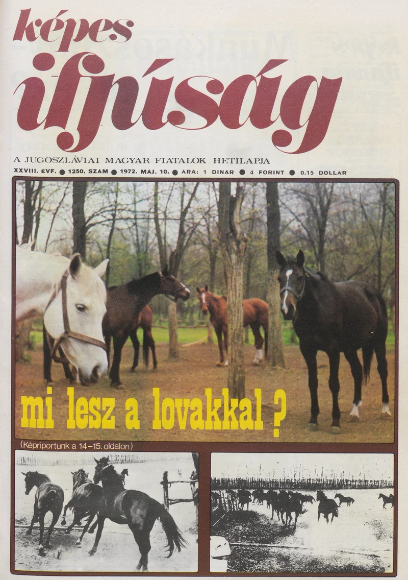 Képes Ifjúság, 28. évf. 1972. május 10. 1250. sz.