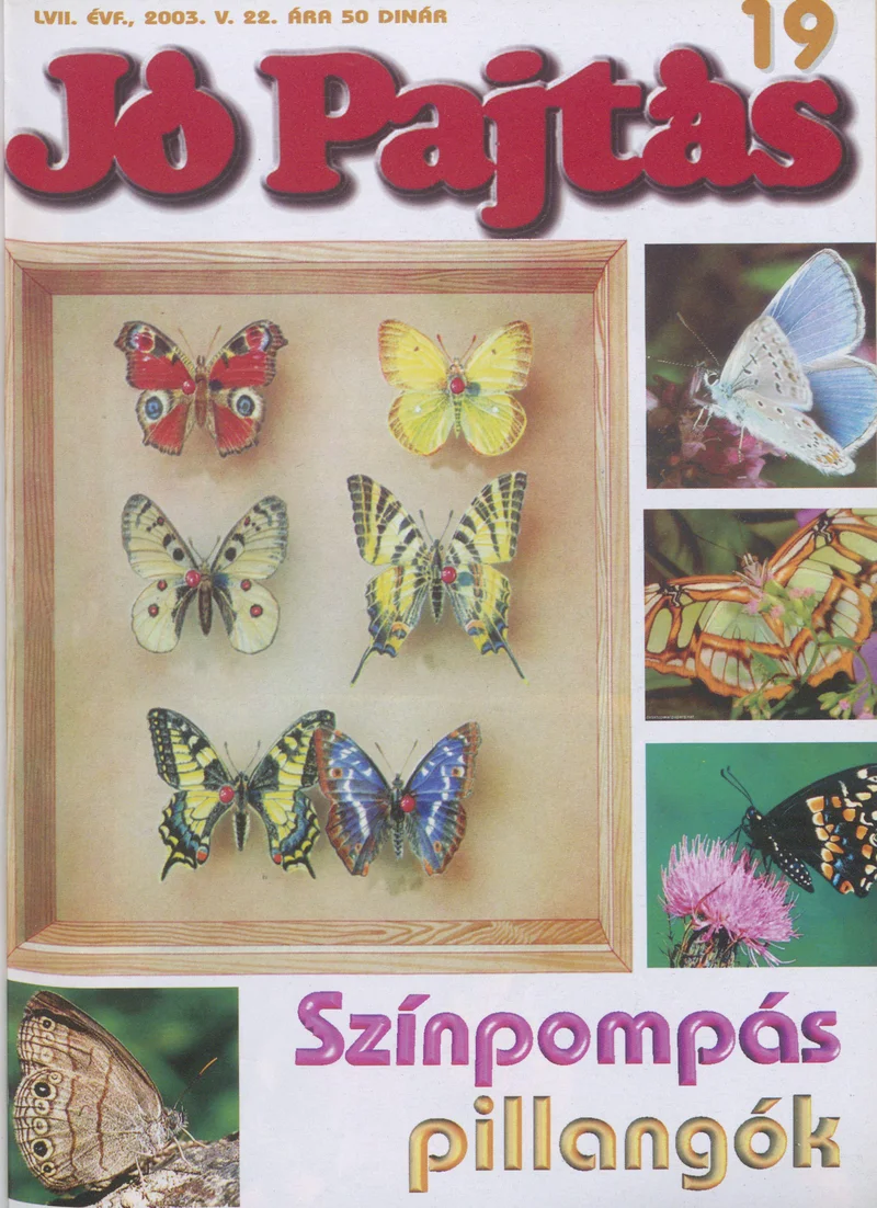 Jó Pajtás, 57. évf. 2003. május 22. 19. sz.