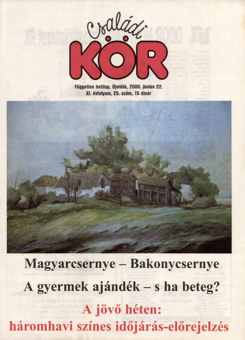 Családi Kör, 11. évf. 2000. június 22. 25. sz.