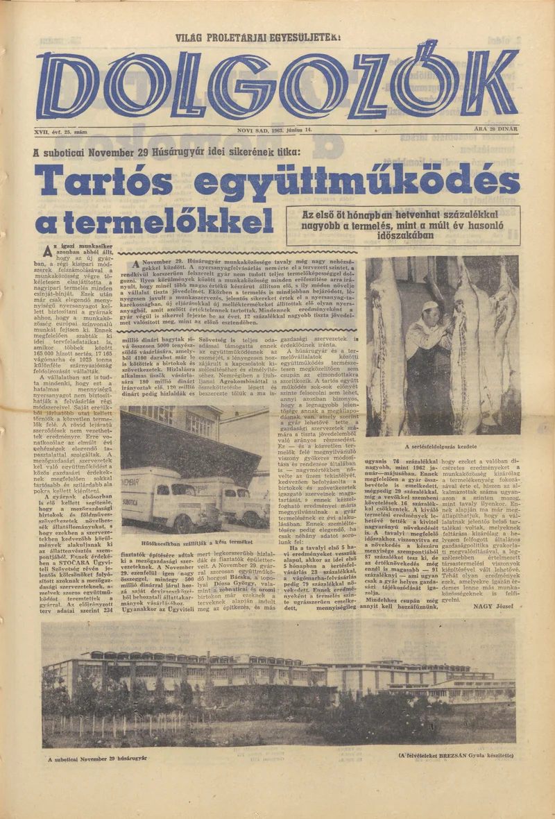 Dolgozók, 17. évf. 1963. június 14. 25. sz.