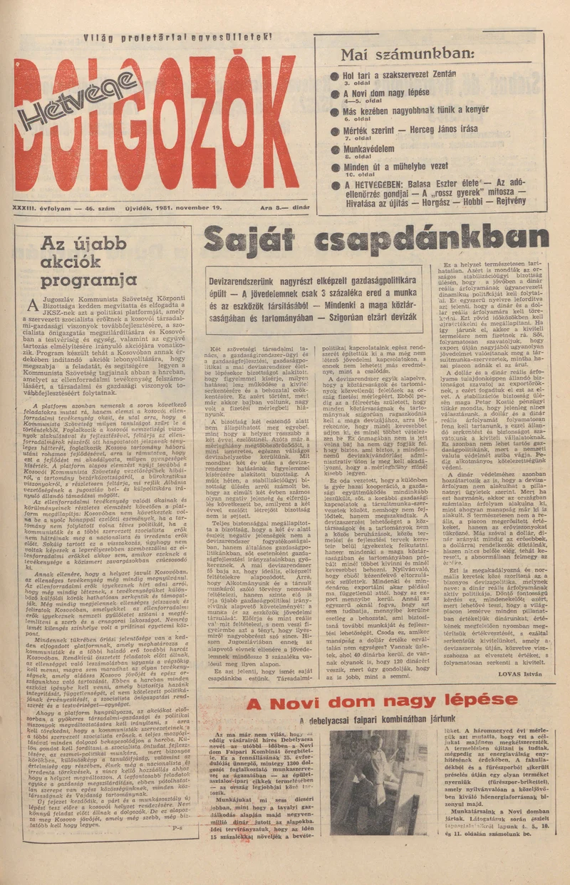 Dolgozók, 35. évf. 1981. november 19. 46. sz.