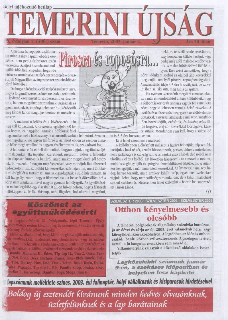 Temerini Újság, 9. évf. 2003. január 2. 1. sz.