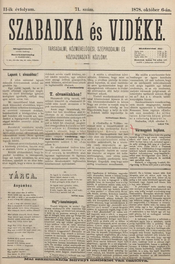 Szabadka és vidéke, 2. évf. 1878. október 6. 71. sz.