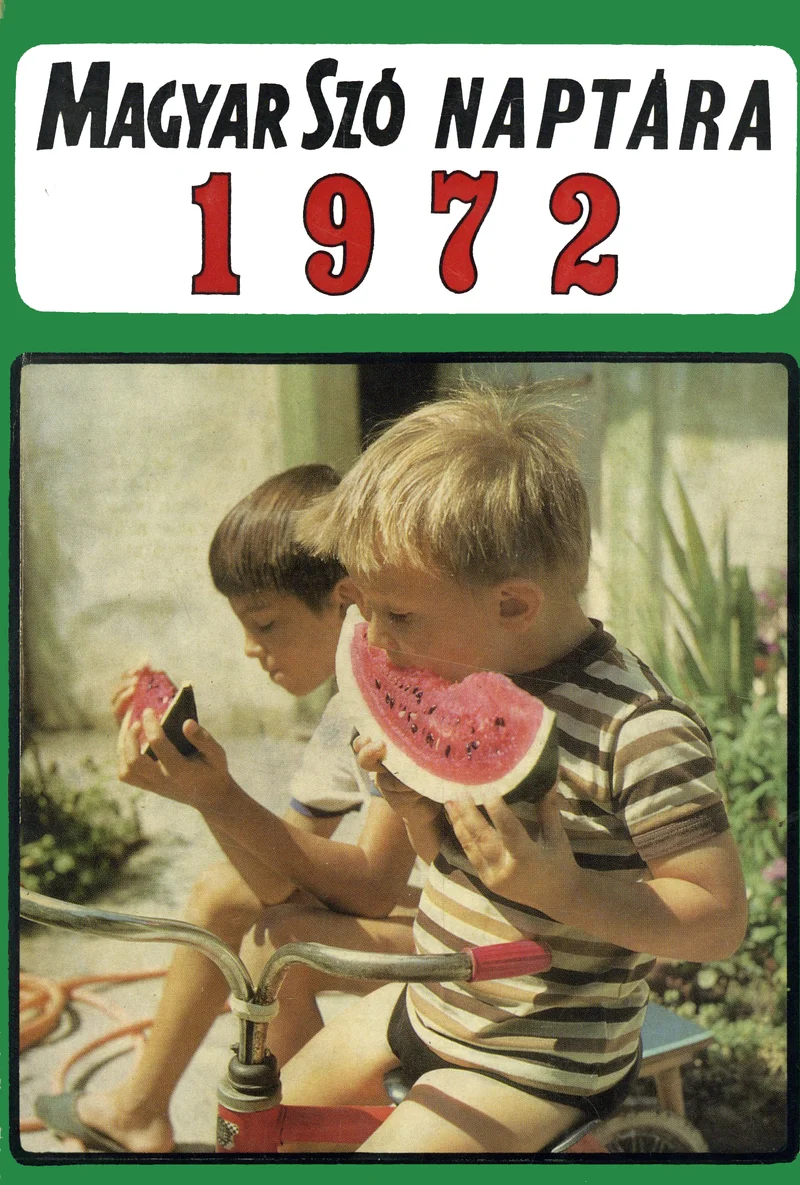 Magyar Szó Naptár, 28. évf. 1972. 28. sz.