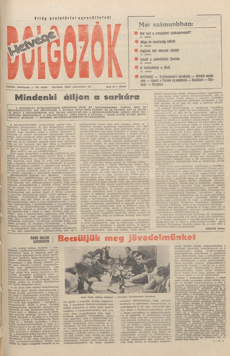 Dolgozók, 35. évf. 1981. november 12. 45. sz.