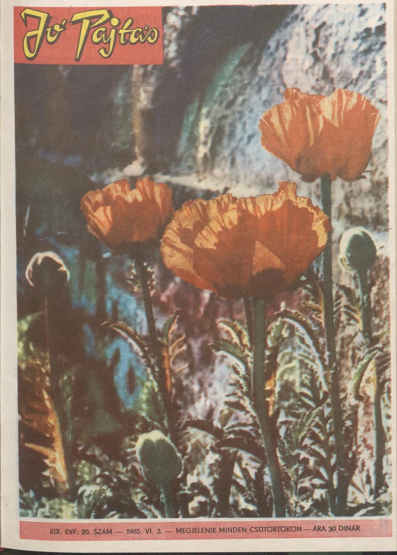 Jó Pajtás, 19. évf. 1965. június 3. 20. sz.