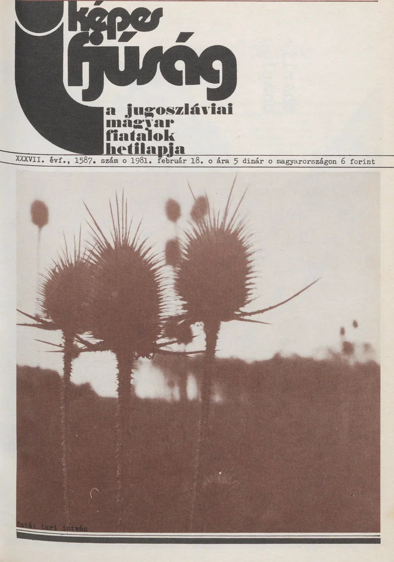 Képes Ifjúság, 37. évf. 1981. február 18. 1587. sz.