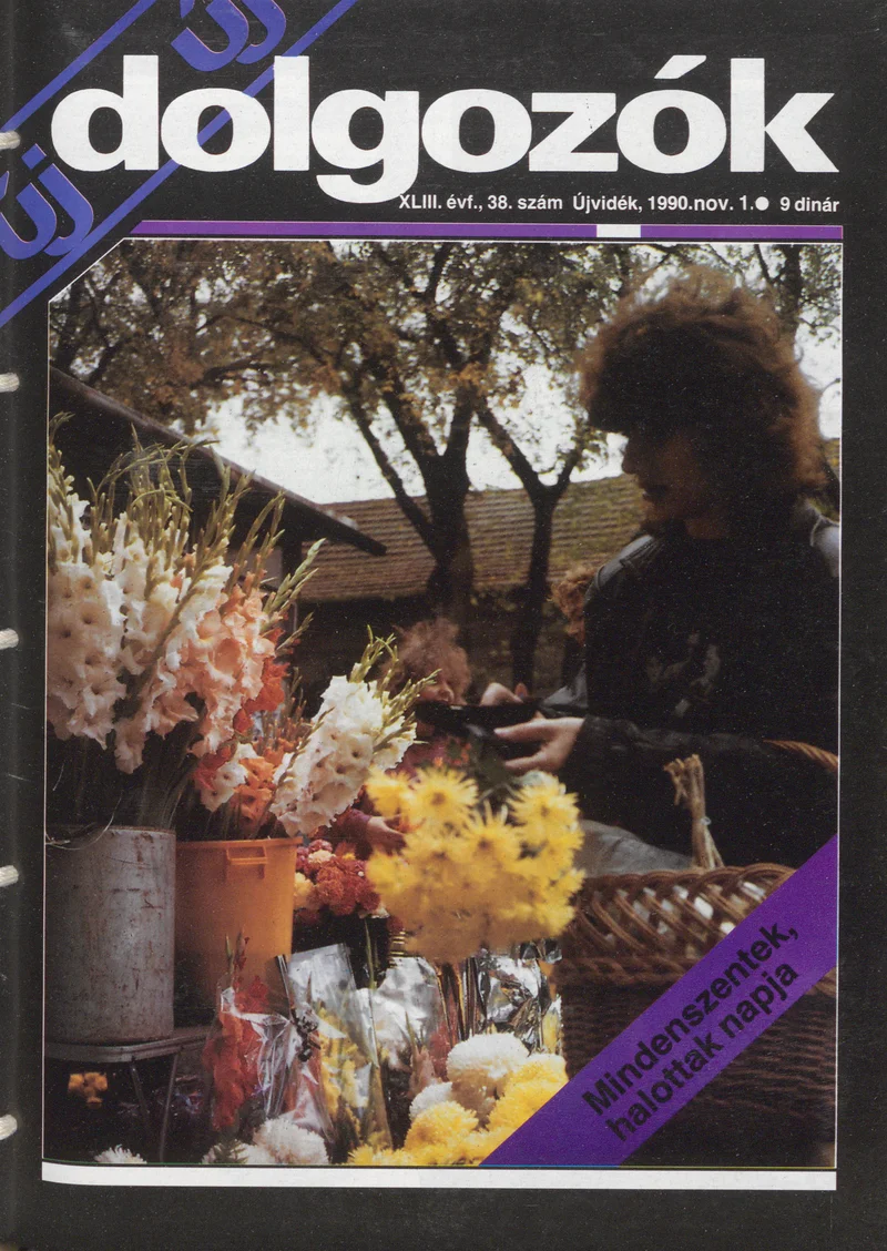 Dolgozók, 44. évf. 1990. november 1. 38. sz.
