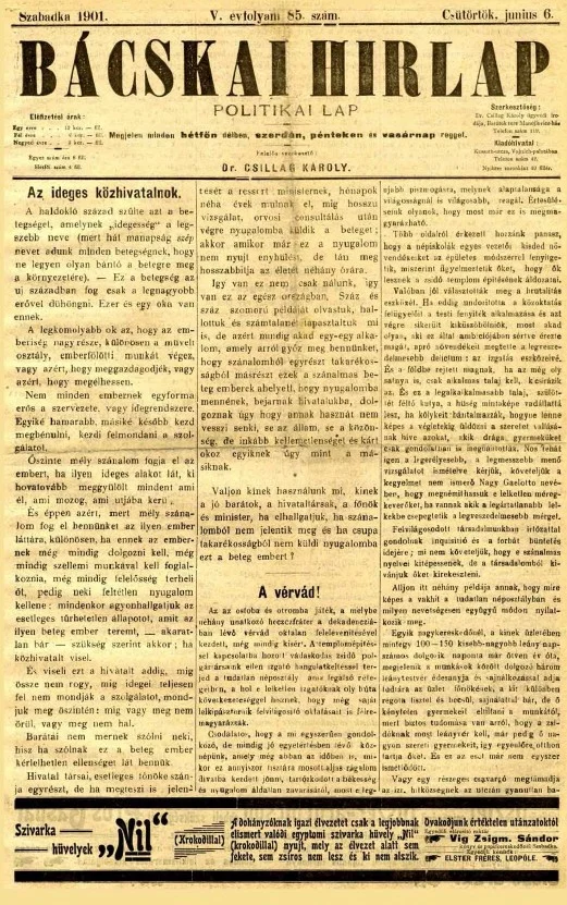 Bácskai Hirlap, 5. évf. 1901. június 6. 85. sz.