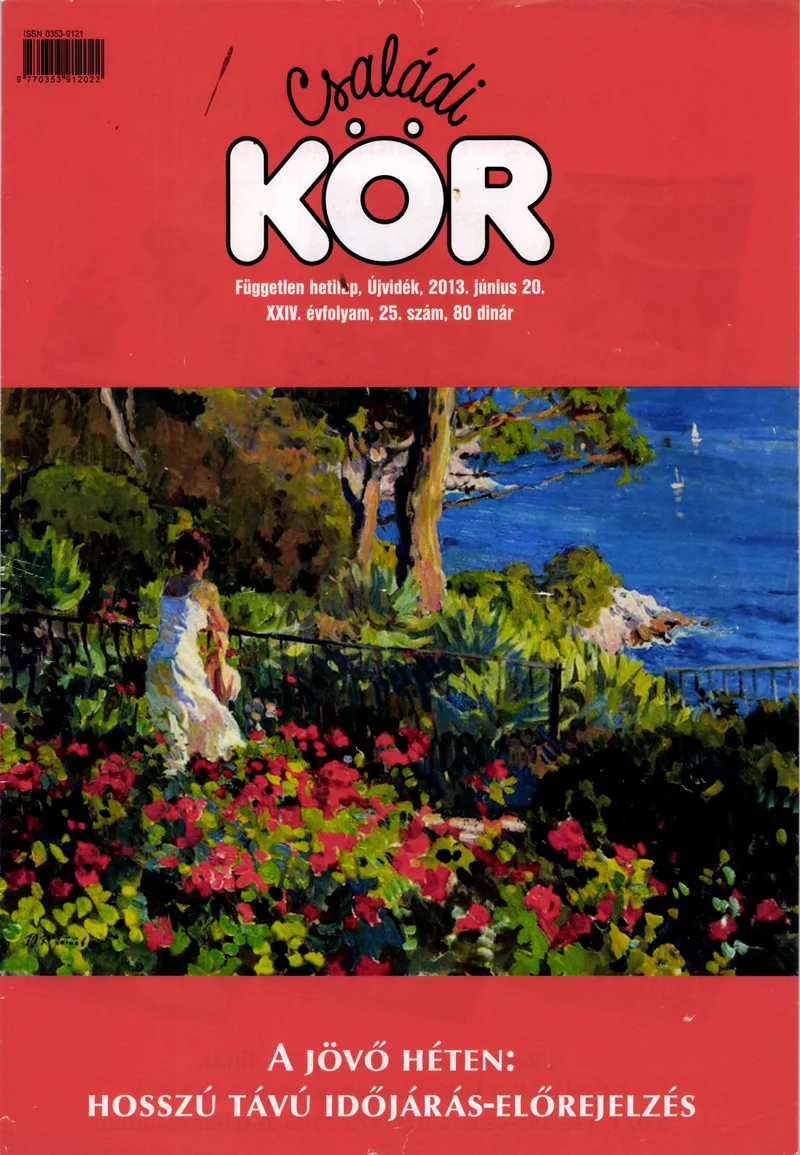 Családi Kör, 24. évf. 2013. június 20. 25. sz.