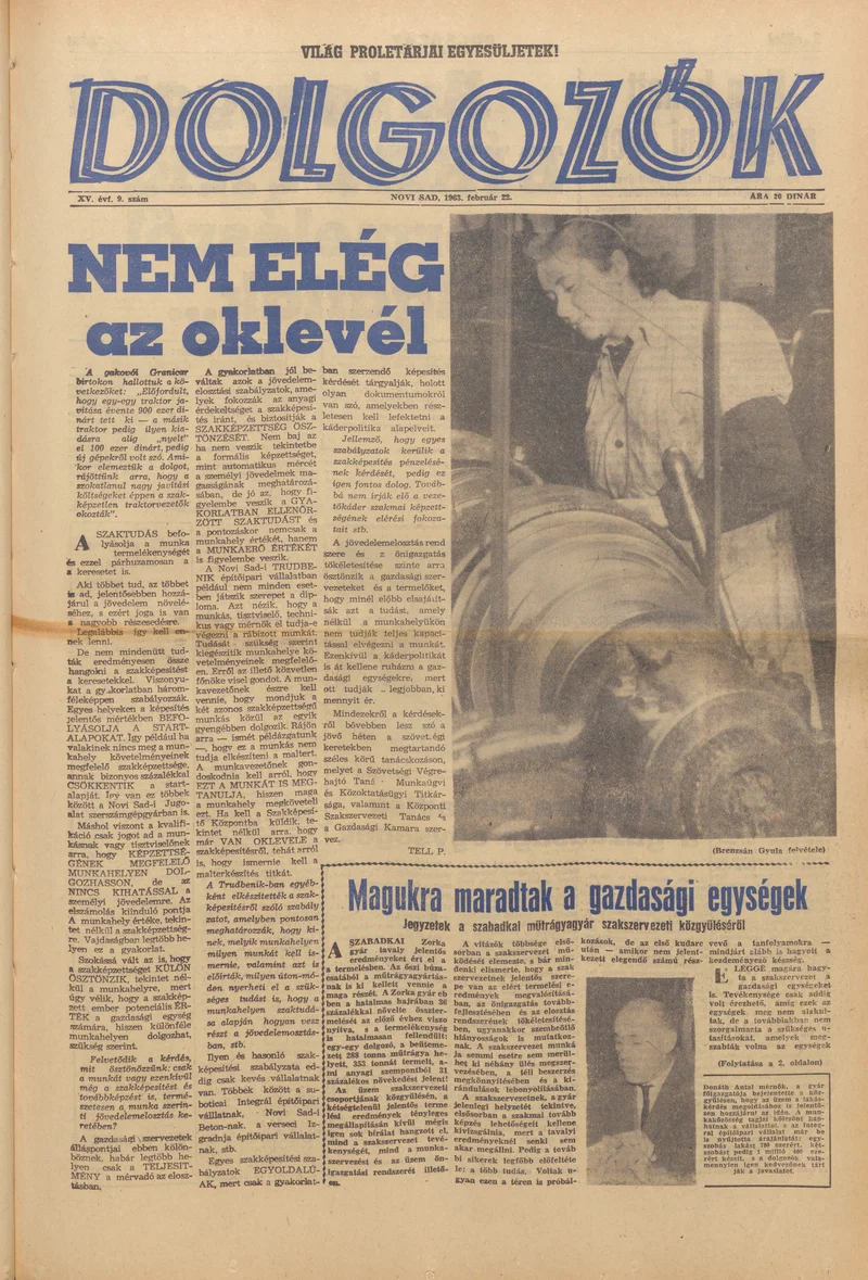 Dolgozók, 17. évf. 1963. február 22. 9. sz.