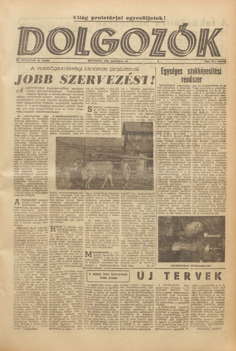 Dolgozók, 9. évf. 1955. szeptember 13. 36. sz.