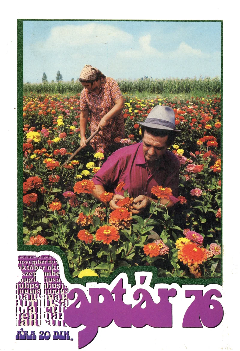 Magyar Szó Naptár, 32. évf. 1976. 32. sz.