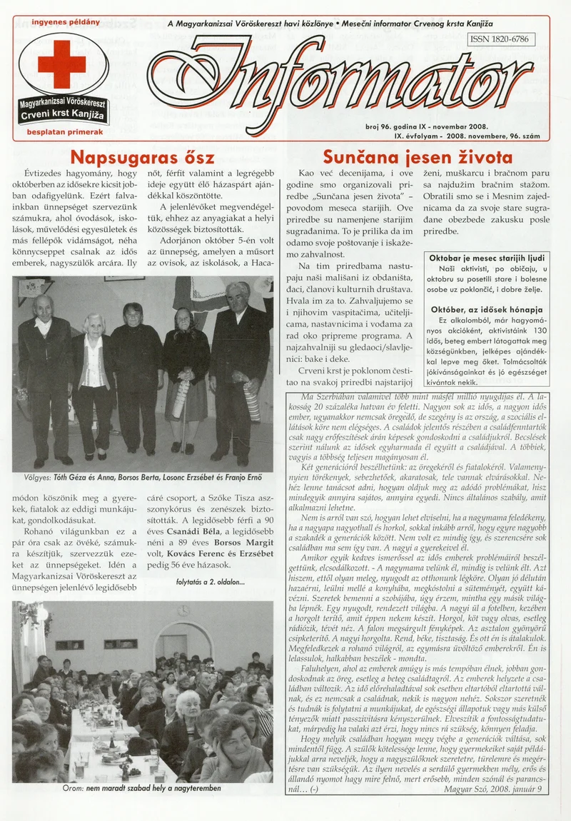 Informator, 9. évf. 2008. november 1. 96. sz.