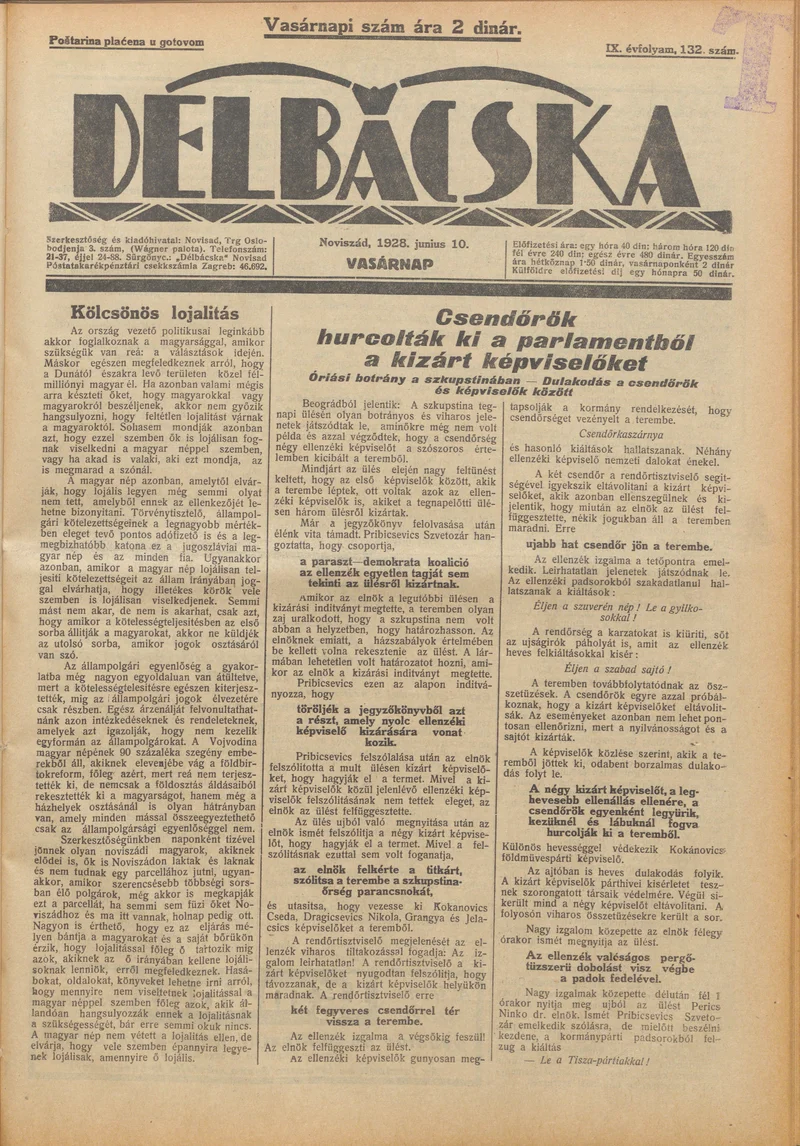 Délbácska, 9. évf. 1928. június 10. 132. sz.
