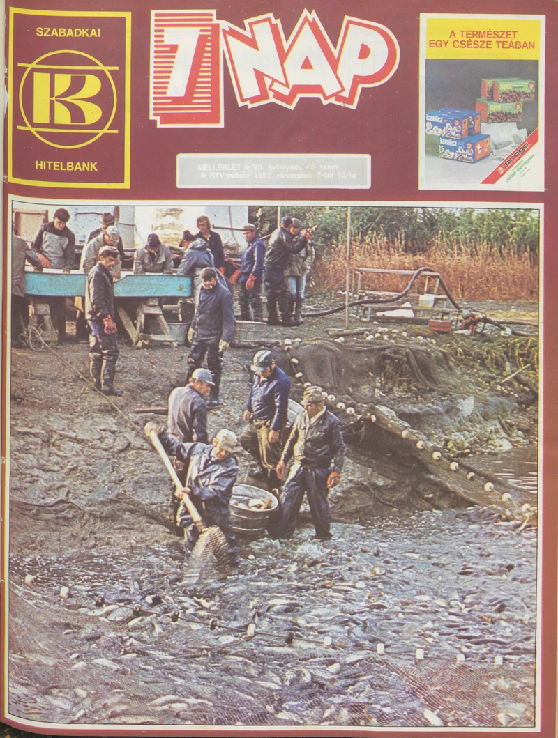 7 Nap melléklet, 7. évf. 1981. november 7. – 13. 45. sz.