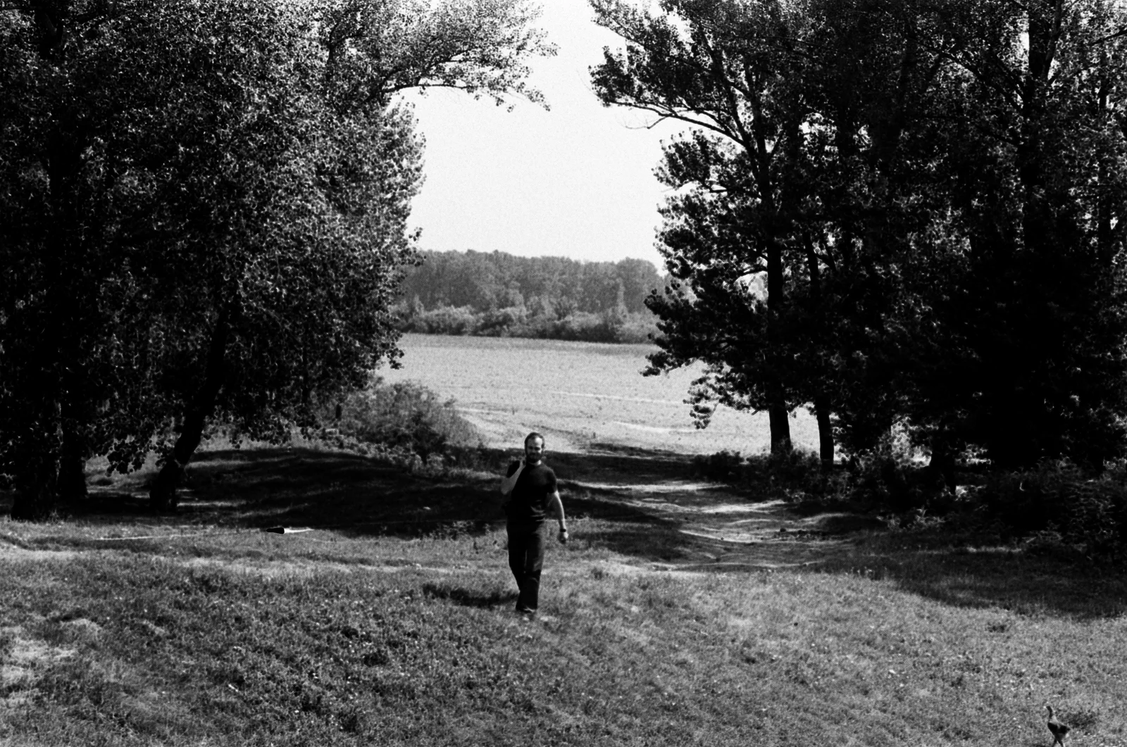 Gyurkovics Hunor és a Pelikán lányok