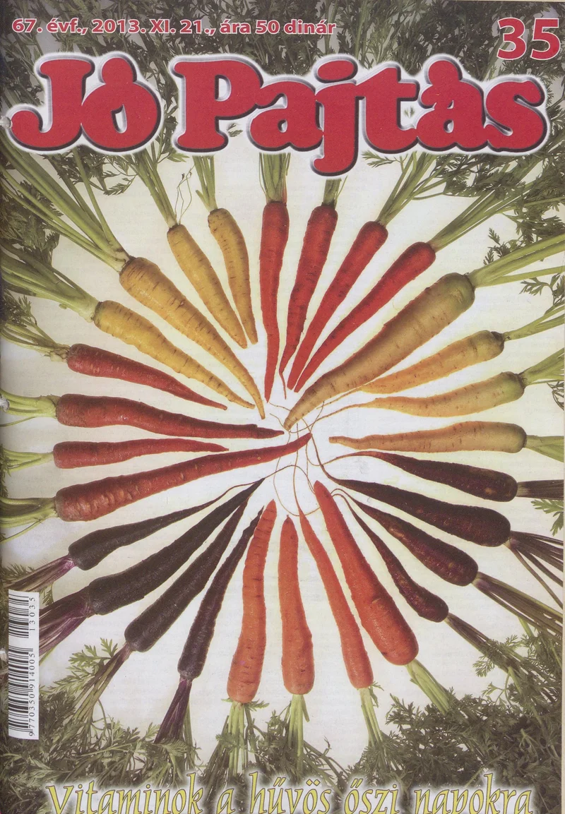 Jó Pajtás, 67. évf. 2013. november 21. 35. sz.