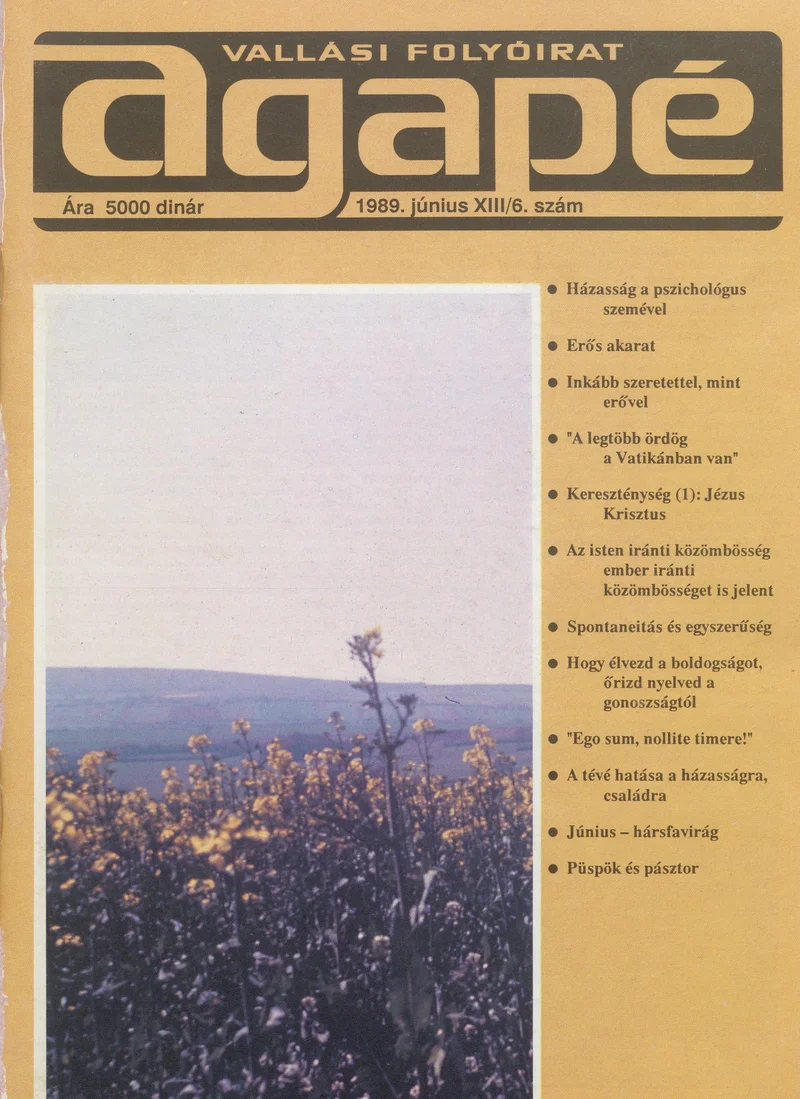 Agape, 13. évf. 1989. június. 6. sz.