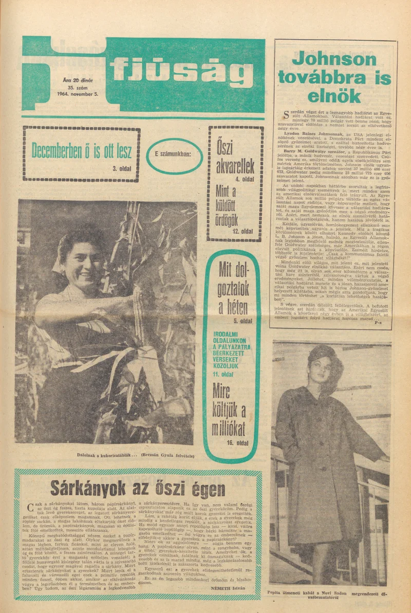 Ifjúság, 20. évf. 1964. november 5. 35. sz.