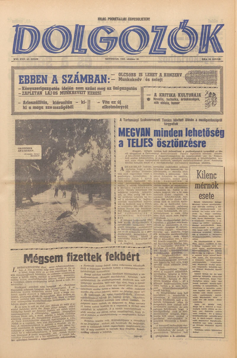 Dolgozók, 16. évf. 1962. október 26. 43. sz.