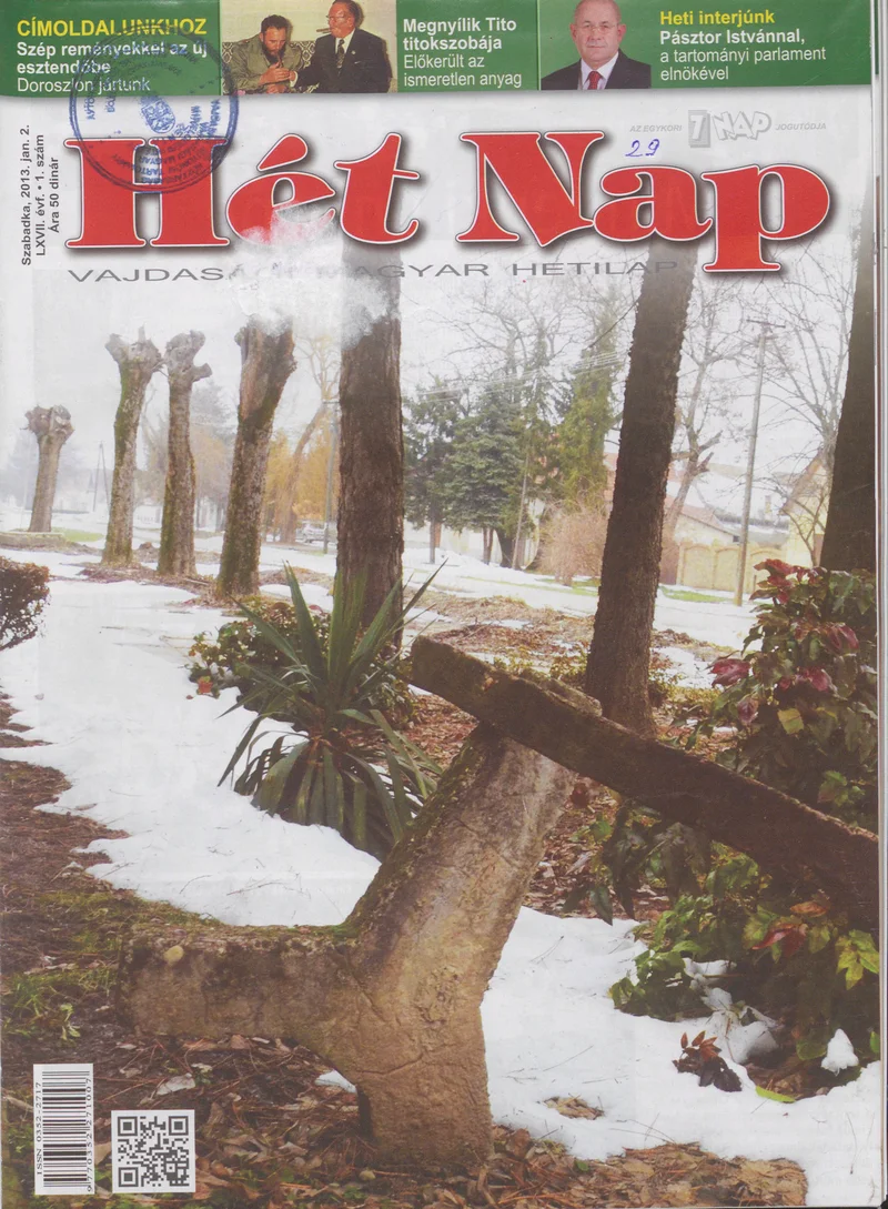 7 Nap, 68. évf. 2013. január 2. 1. sz.