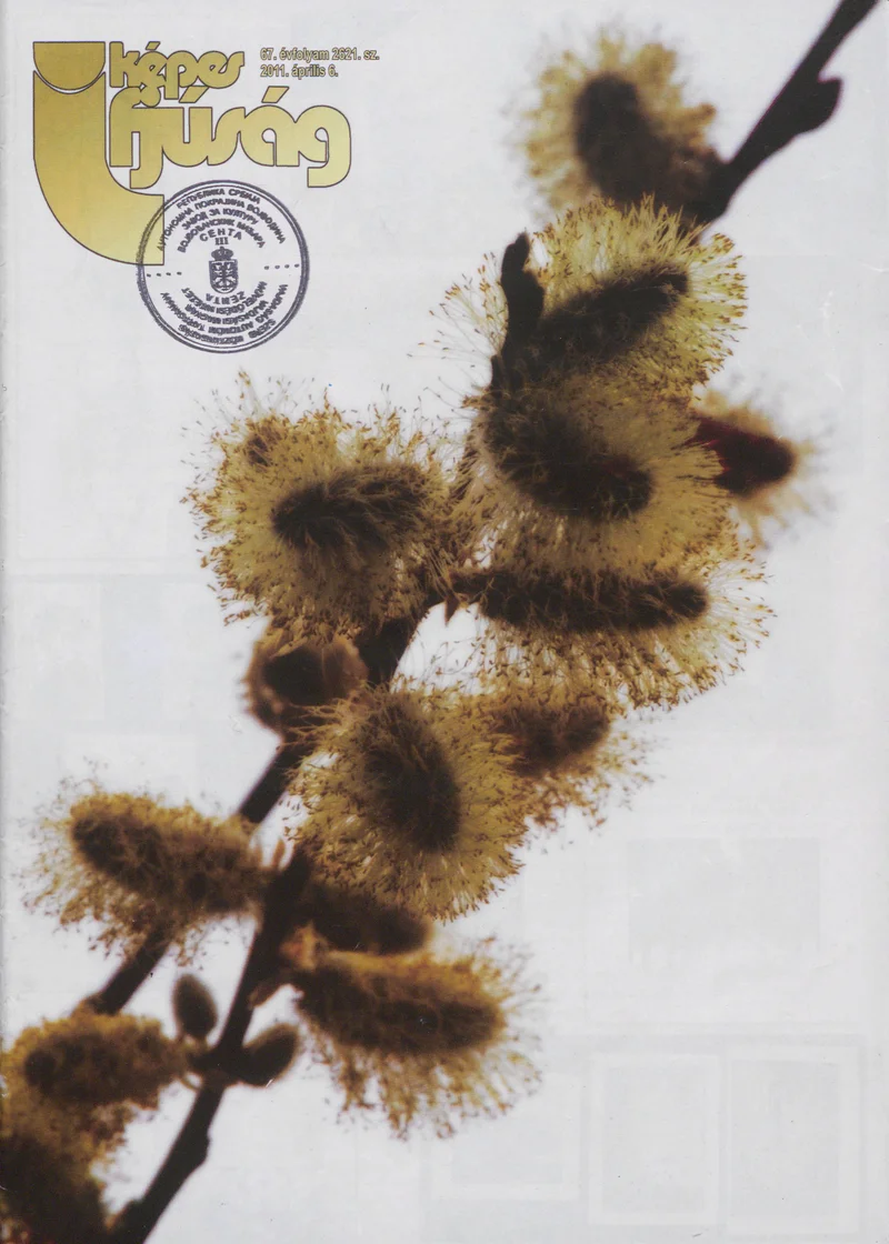 Képes Ifjúság, 67. évf. 2011. április 6. 2621. sz.