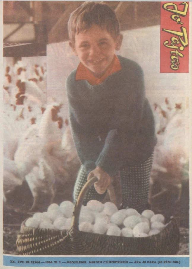 Jó Pajtás, 20. évf. 1966. november 3. 30. sz.