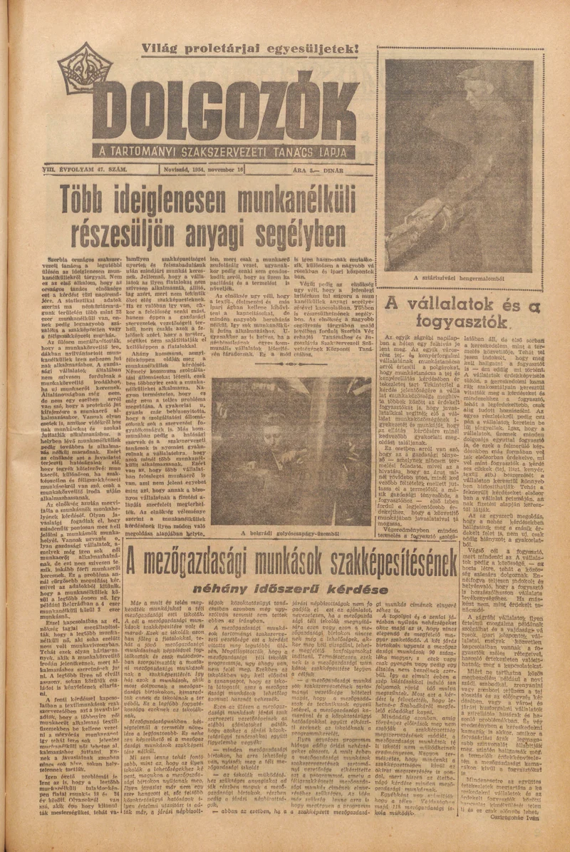 Dolgozók, 8. évf. 1954. november 16. 47. sz.