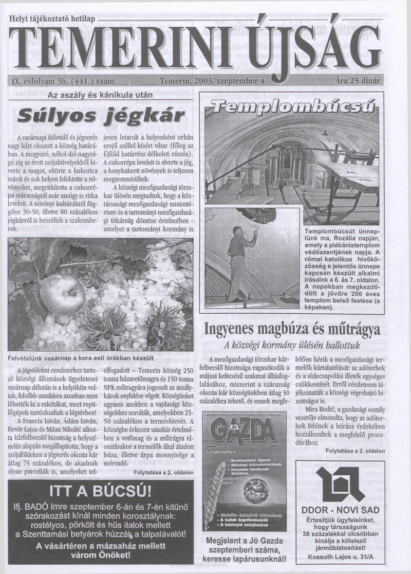 Temerini Újság, 9. évf. 2003. szeptember 4. 36. sz.