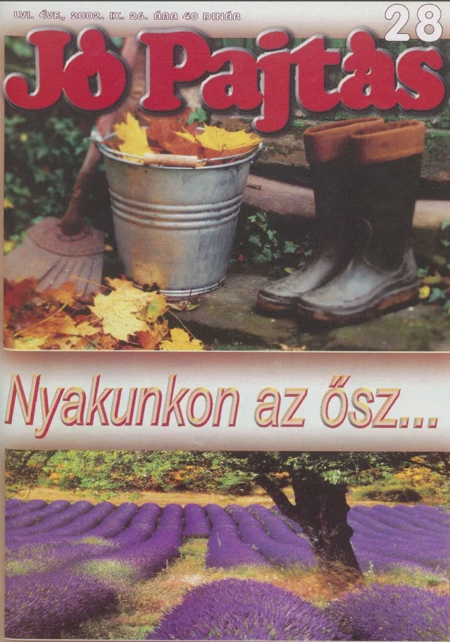 Jó Pajtás, 56. évf. 2002. szeptember 26. 28. sz.