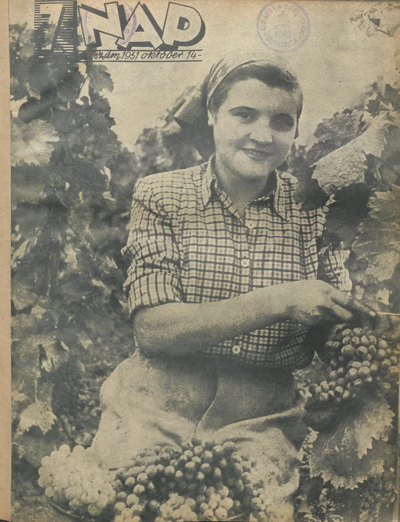 7 Nap, 6. évf. 1951. október 14. 41. sz.