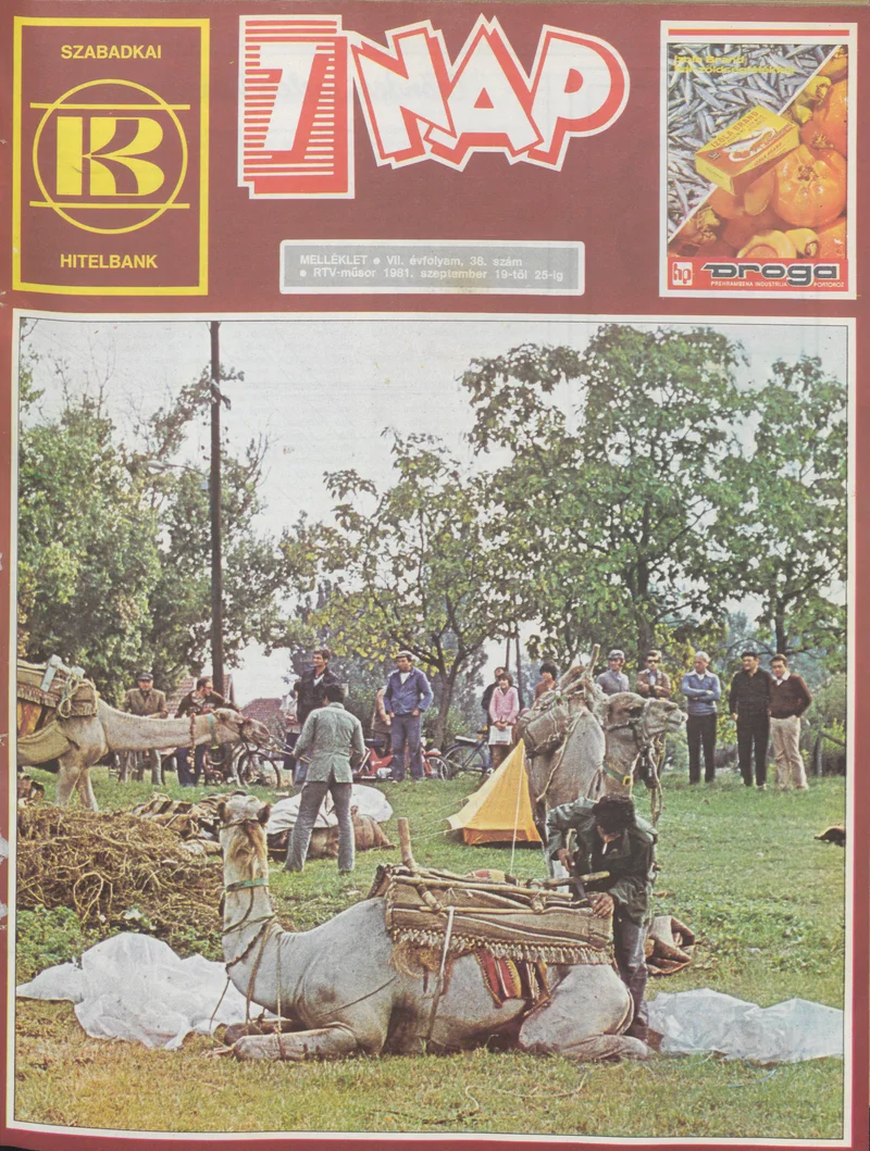 7 Nap melléklet, 7. évf. 1981. szeptember 19. – 25. 38. sz.