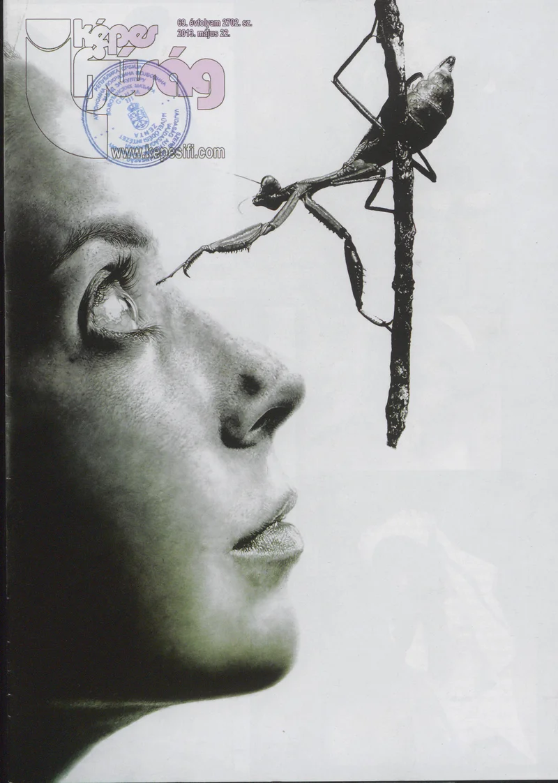 Képes Ifjúság, 69. évf. 2013. május 22. 2702. sz.