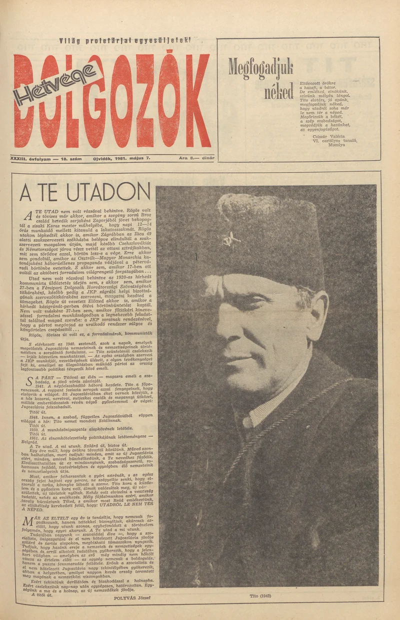 Dolgozók, 35. évf. 1981. május 7. 18. sz.