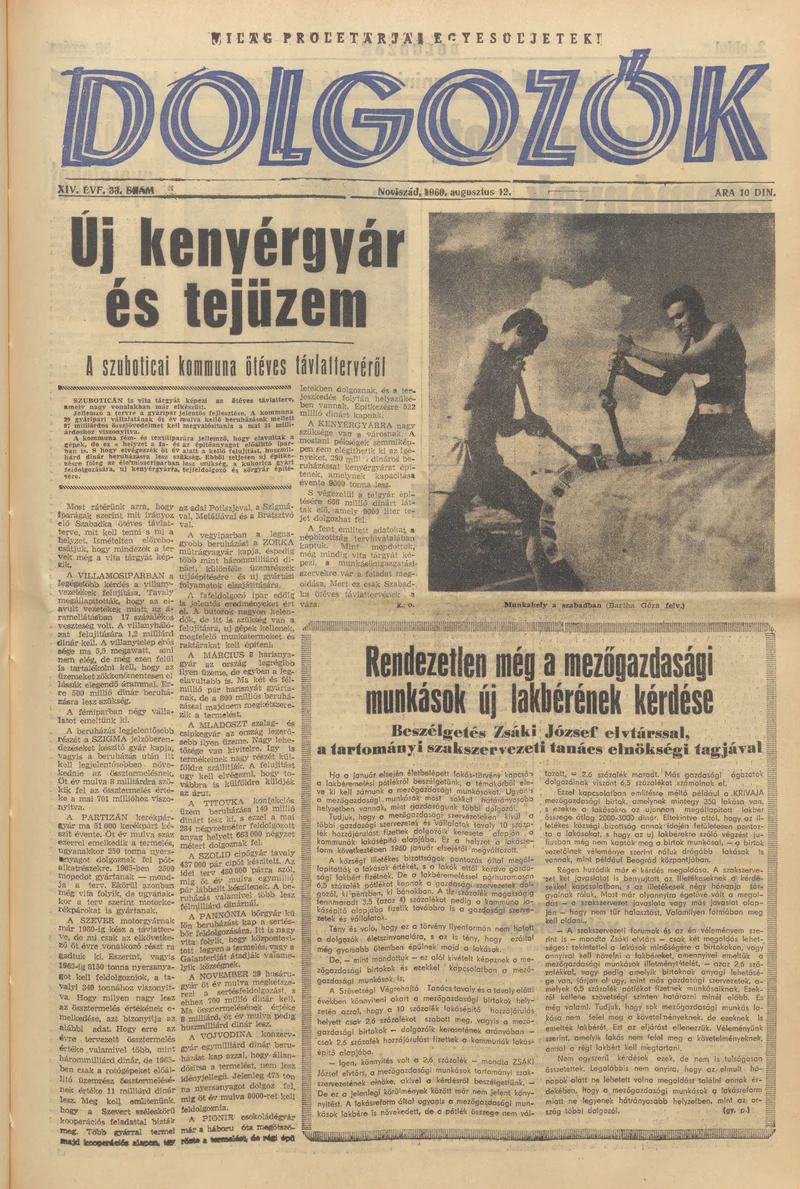 Dolgozók, 14. évf. 1960. augusztus 12. 33. sz.