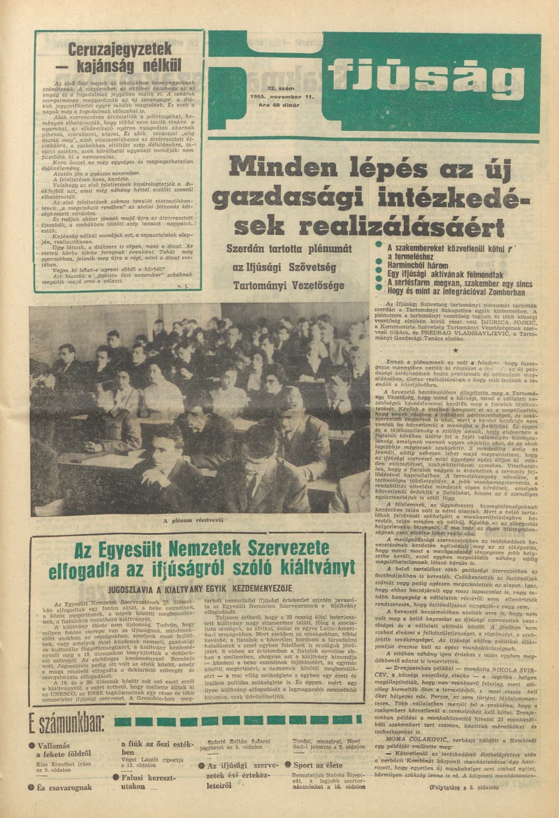 Ifjúság, 21. évf. 1965. november 11. 32. sz.