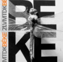 21. VMTDK-rezümékötet 