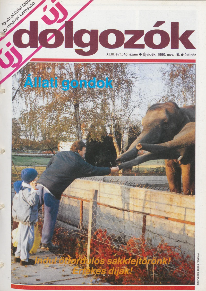 Dolgozók, 44. évf. 1990. november 15. 40. sz.