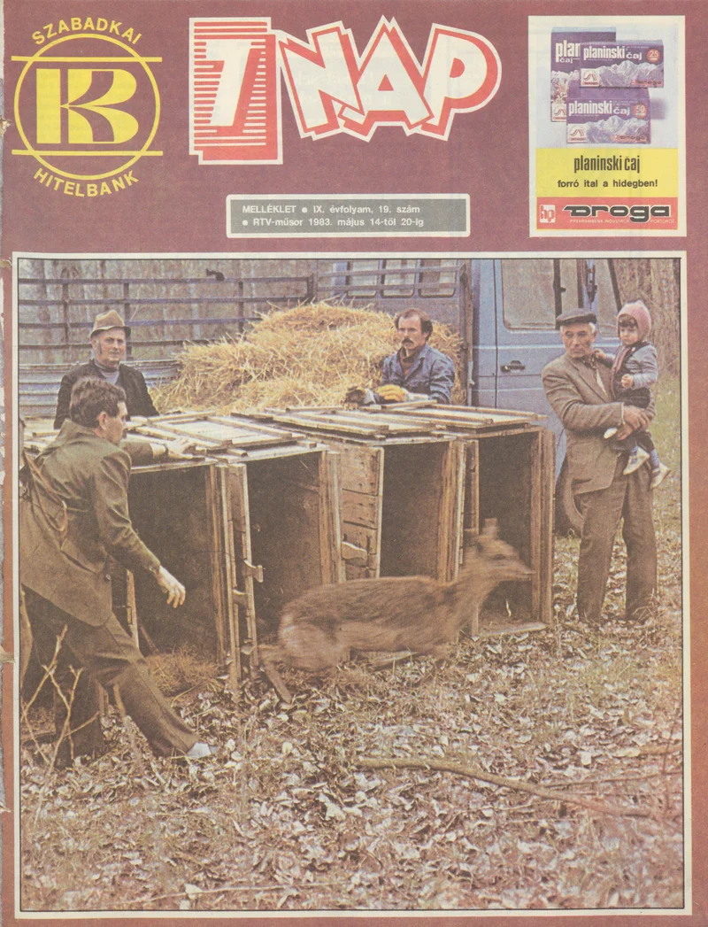 7 Nap melléklet, 9. évf. 1983. május 14. – 20. 19. sz.