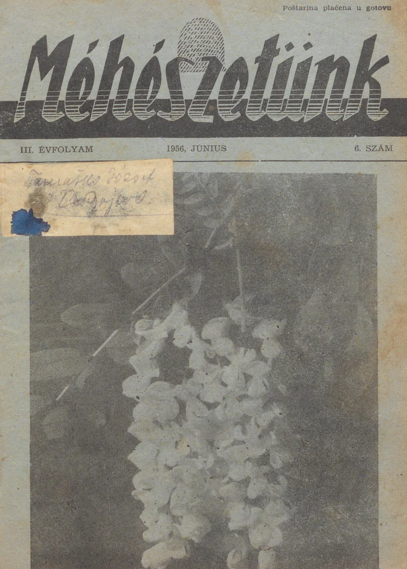 Méhészetünk, 3. évf. 1956. június 1. 6. sz.