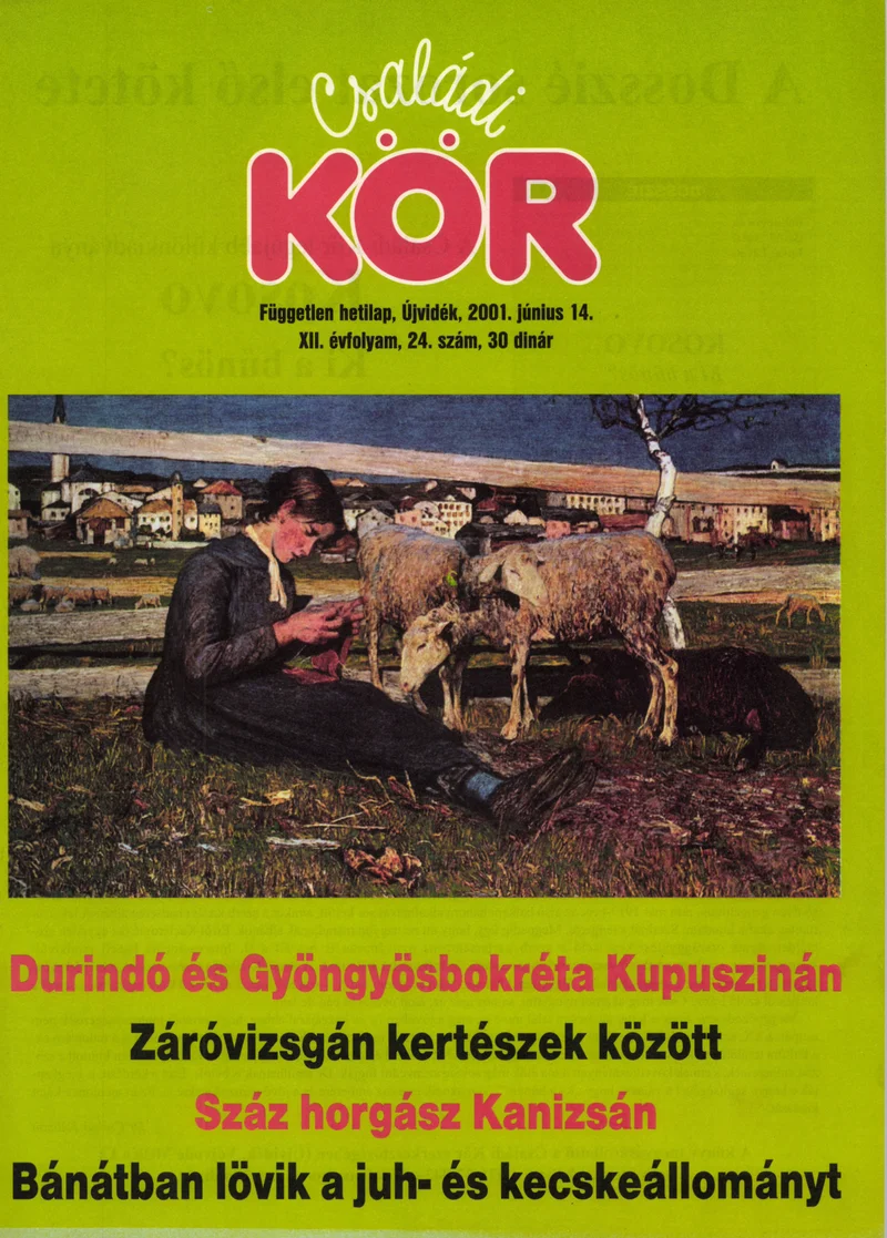 Családi Kör, 12. évf. 2001. június 14. 24. sz.