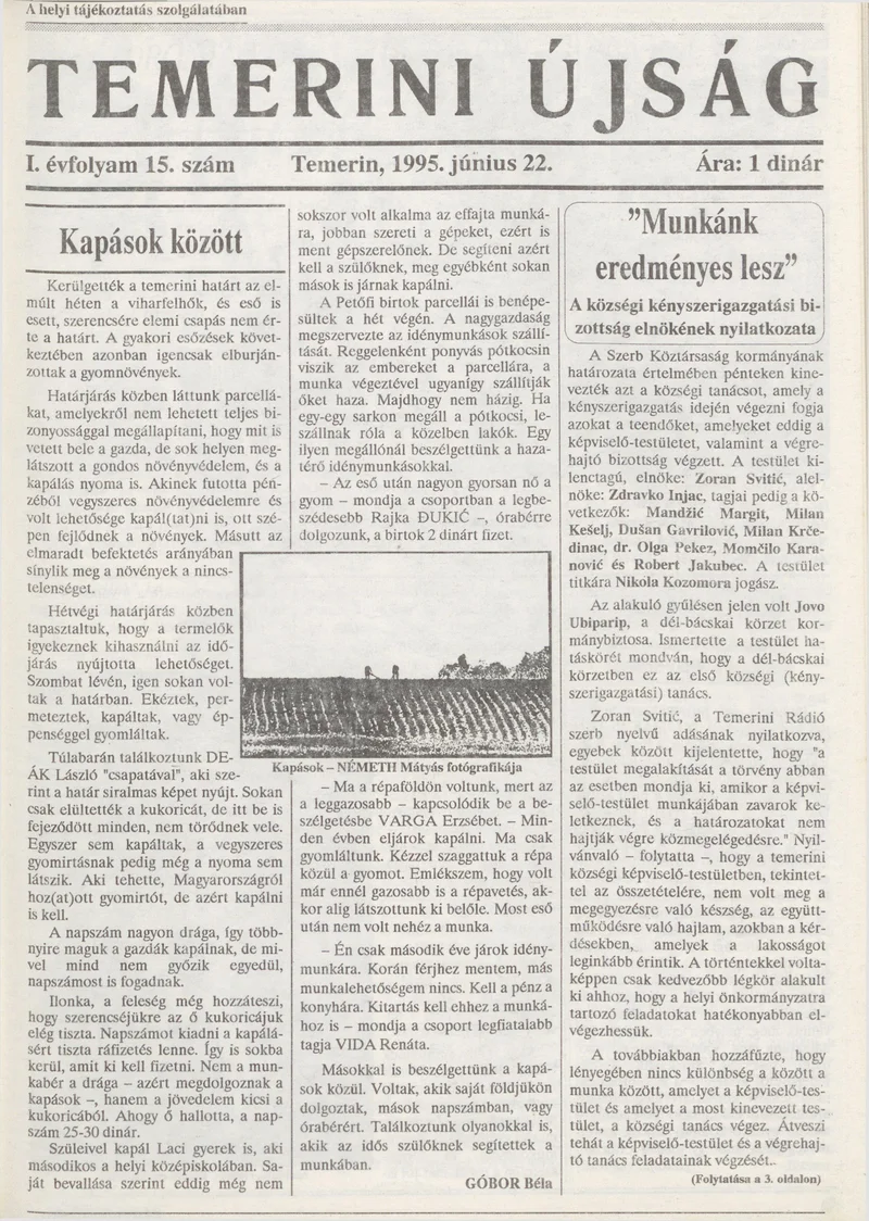 Temerini Újság, 1. évf. 1995. június 22. 15. sz.