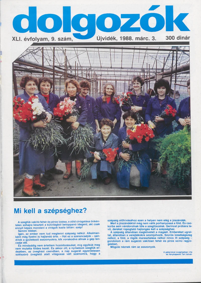 Dolgozók, 42. évf. 1988. március 3. 9. sz.