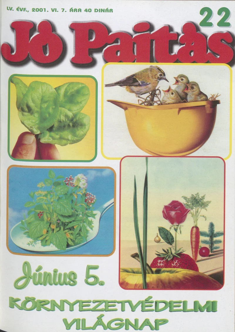 Jó Pajtás, 55. évf. 2001. június 7. 22. sz.