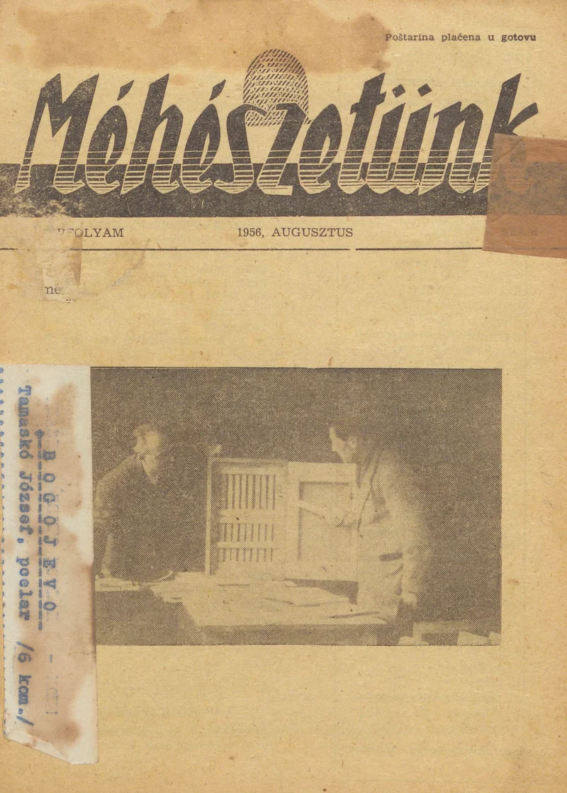 Méhészetünk, 3. évf. 1956. augusztus 1. 8. sz.