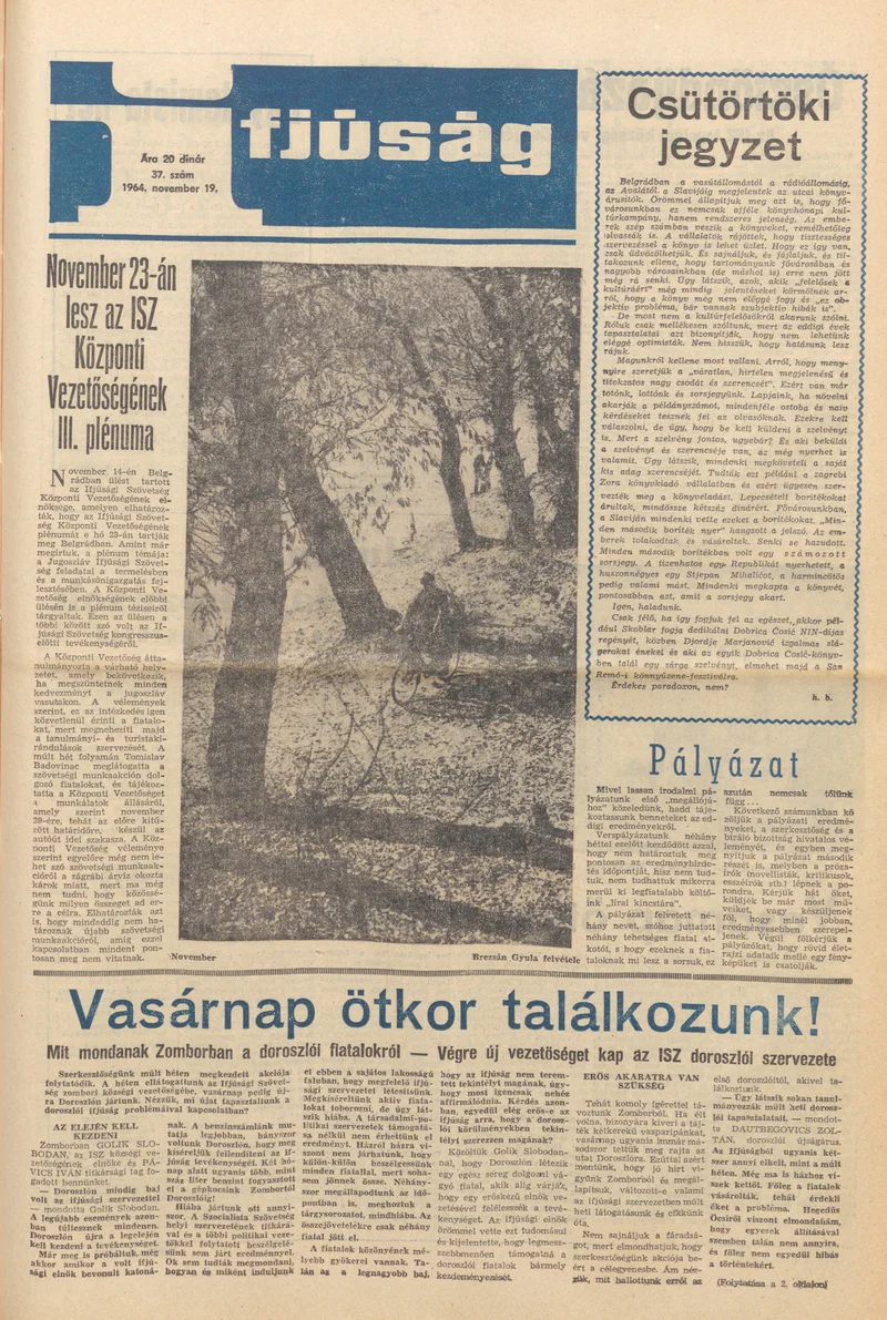 Ifjúság, 20. évf. 1964. november 19. 37. sz.
