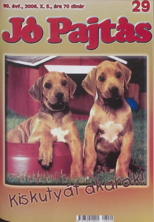 Jó Pajtás, 60. évf. 2006. október 5. 29. sz.