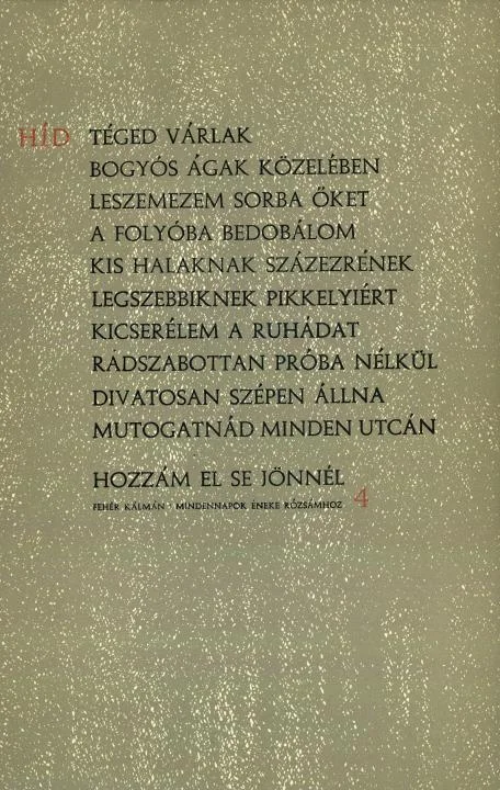 Híd, 27. évf. 1963. április. 4. sz. 389–512. oldal
